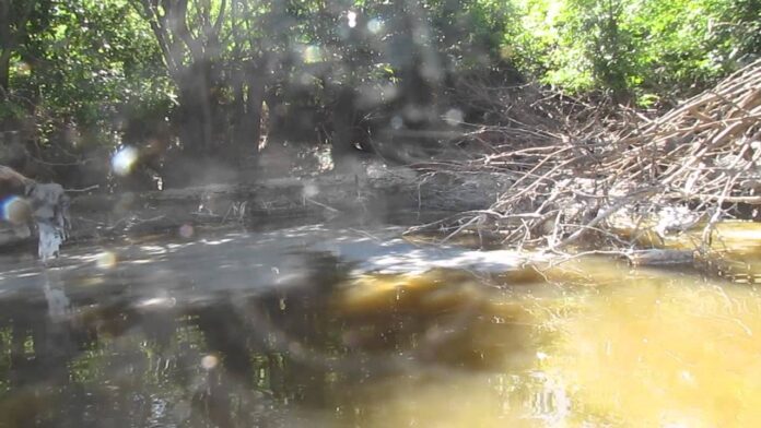 Ducoté inauguró maternidad financiada con fondos de una papelera contaminante