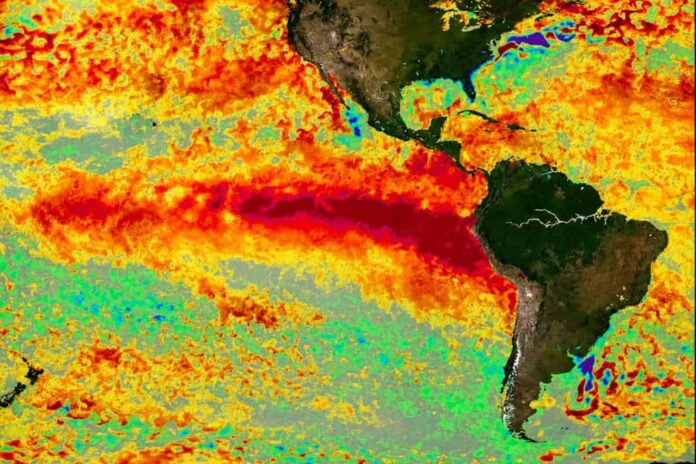 El_Nino_desperto_03-1024x683-1-1.jpg