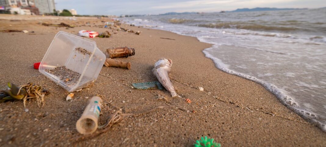 Este sábado se realizará la 9ª Edición del Censo de Residuos de la Costa Atlántica Bonaerense