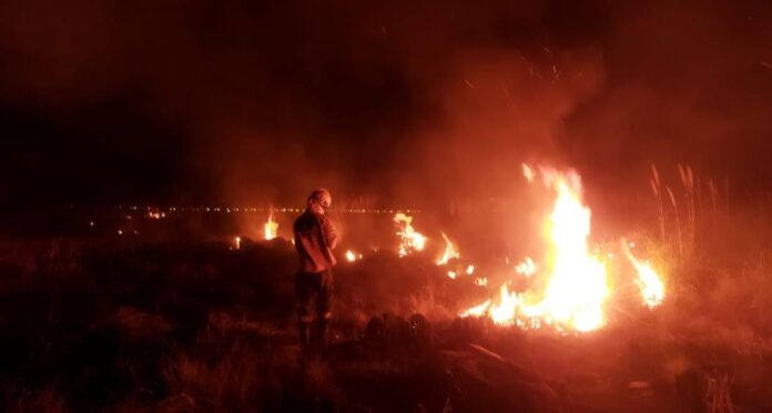 incendio forestal parque nacional ciervo los pantanos
